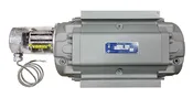 11M175ITPWS Roots Gas Meter