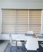 Illusions Zebra light Filtering Shades