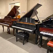 1925 Steinway & Sons L Traditional Grand #236860