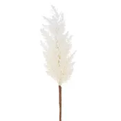 36" Pampas Grass Stem