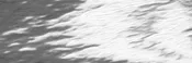 #1050 BRIGHT SILVER