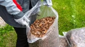 Bagged Mulch