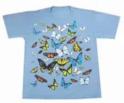 Big Butterflies T-Shirt, Youth