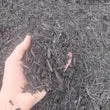 Black Colored Mulch
