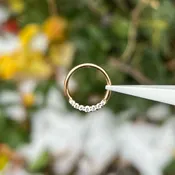 Audrey, Yellow Gold + CZ — CowPok
