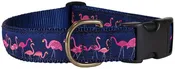 1.25” Ribbon Dog Collar – Flamingos