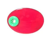 Cybird™ Gold : Eye Shield