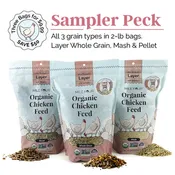 Layer Organic Chicken Feed