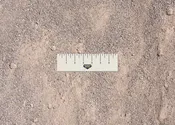 Sand – Unwashed, Masonry