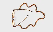 Acetate Lanyard
