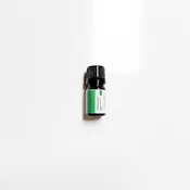 Angelica Root Essential Oil