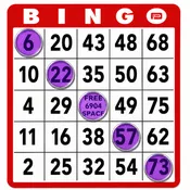 3/4" Transparent Magnetic Bingo Chips