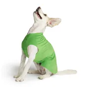 Gold Paw Stretch Fleece