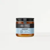 Chicory Honey