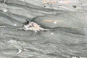 Block 32902 | Cristallo Del Mare — Silicon Valley Granite