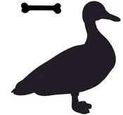 Just Cat Duck w/bone