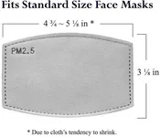 Disposable 5 Layer Activated Carbon Filter PM2.5