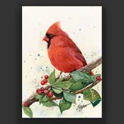 Cardinal Bird Wall Art | Clint Eagar Design