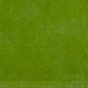 0645 Wicked Half Yard