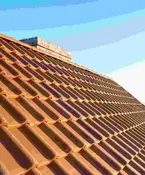 Shingle Roof
