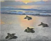 "Baby Turtles" by Paul Wren 20" x 16" — Framing Wholesalers, Inc.