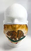 Face Mask California Flag