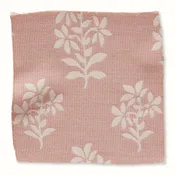 Asha - Pink
