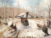Barnyard Gobblers