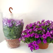 10" Hanging Basket Sleeves