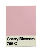 Cherry Blossom Sticker