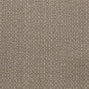 Action Taupe