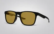 Blake Sunglasses