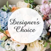 Everyday Designers Choice 80