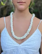 Mongo Seashell Lei – White