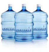 Three 5-gallon Artezia Bottles
