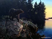 Al Agnew Evening Calm - 24"x18" Signed/Numbered Bear Art Print