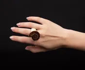 Ammonite and Bone Ring — Gillion Carrara