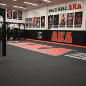2" Zebra Mat Full Size