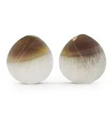 1 & 3/8" (35mm) Timor Agate Teardrop Double Flare Plugs Version 1