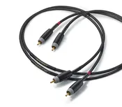 Audience Studio Two RCA Interconnects