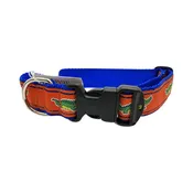 Gators on Orange Dog Collar & Leash