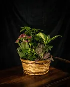 Blushing Basket Garden