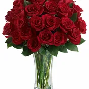 Love and Devotion - Long Stemmed Red Roses