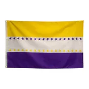 19th Amendment Flag