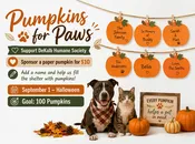 🍁 Paws & Thanks – Fall Fundraiser! 🍂 — DeKalb Humane Society