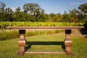 TBD — Carolina Farmstead