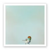 12 x 12 Art Print - Joey: The Boy Who Fought The Sky And Lost