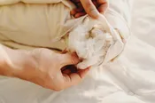 Organic Kapok Pillow