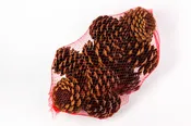 Scented Pinecones-Small
