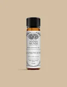 FRANKINCENSE Essential Oil | Wildcrafted